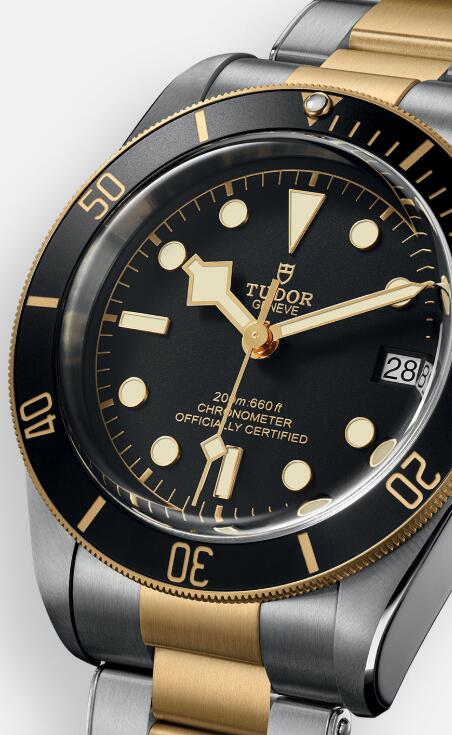 Tudor BLACK BAY S&G M79733N-0008 Replica Watch